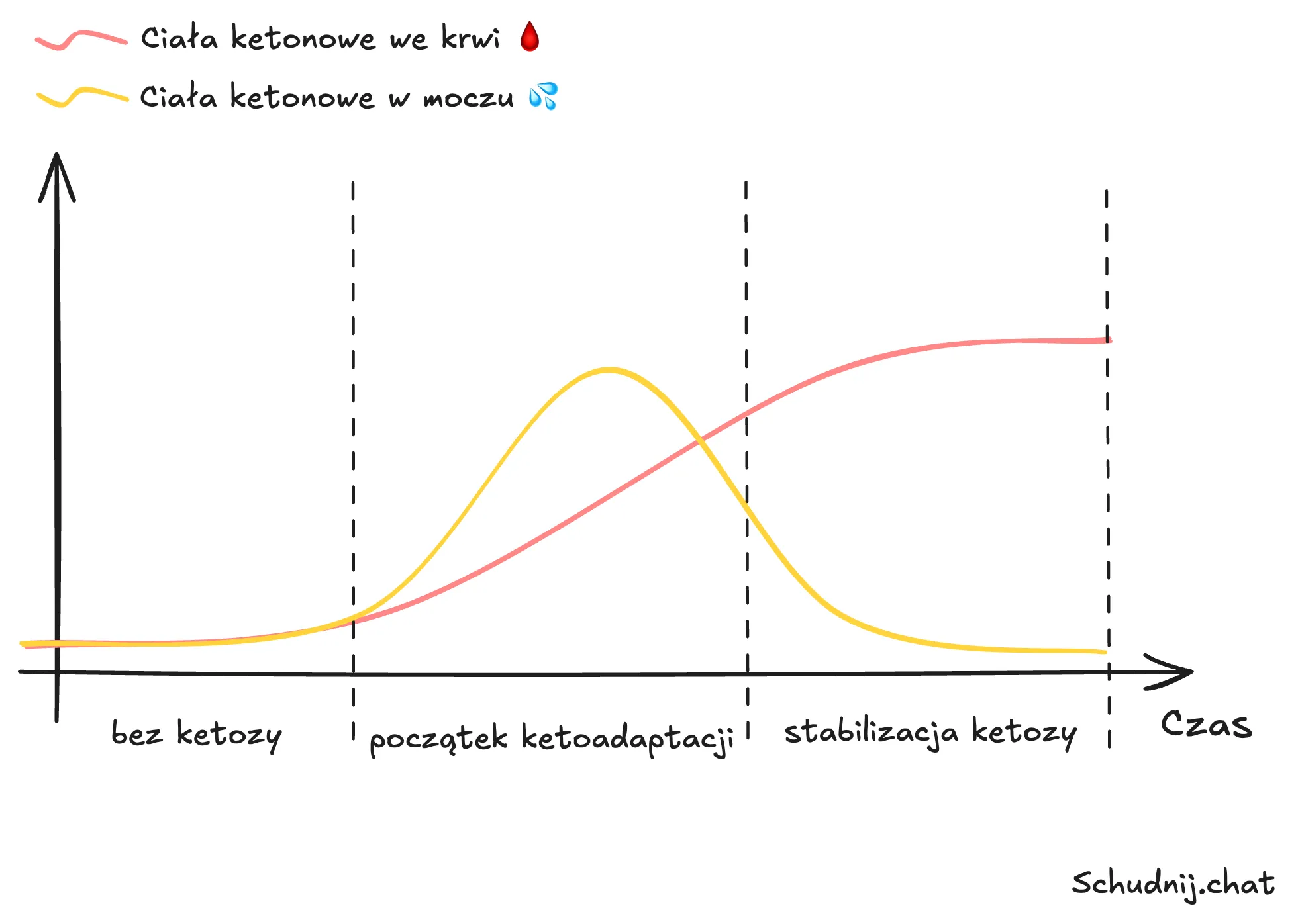 Poziomy ciał ketonowych w przebiegu ketoadaptacji